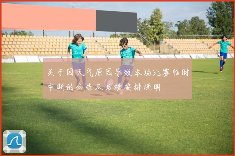 关于因天气原因导致本场比赛临时中断的公告及后续安排说明